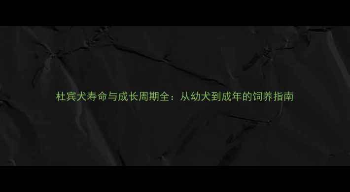 图片 杜宾犬寿命与成长周期全：从幼犬到成年的饲养指南