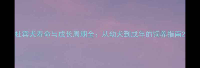 图片 杜宾犬寿命与成长周期全：从幼犬到成年的饲养指南2