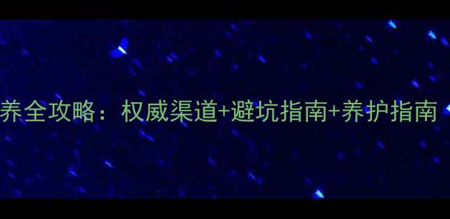 图片 杭州哈士奇购买与领养全攻略：权威渠道+避坑指南+养护指南（附本地犬舍清单）2