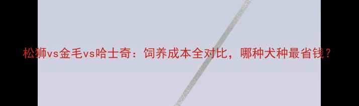 图片 松狮vs金毛vs哈士奇：饲养成本全对比，哪种犬种最省钱？
