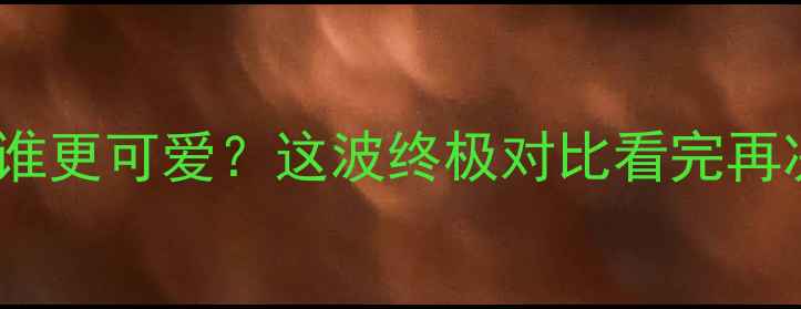 图片 柯基vs边牧谁更可爱？这波终极对比看完再决定养狗！1