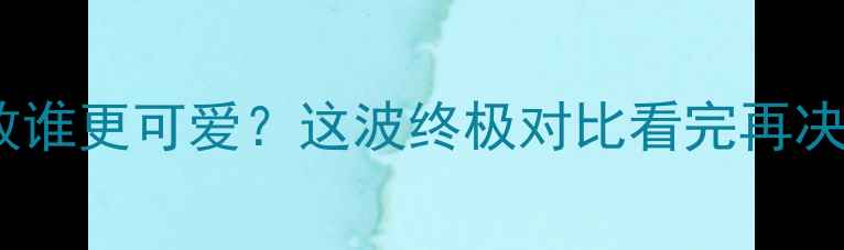 图片 柯基vs边牧谁更可爱？这波终极对比看完再决定养狗！2