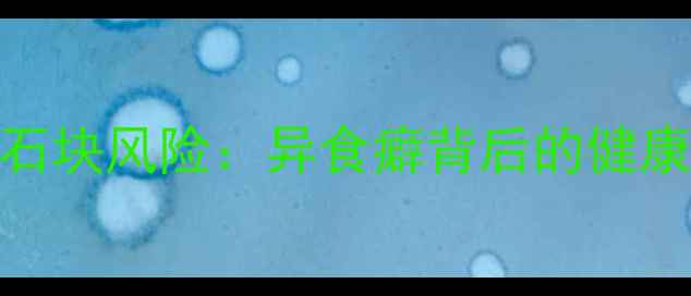 图片 核心问题宠物犬误食石块风险：异食癖背后的健康隐患与科学应对策略