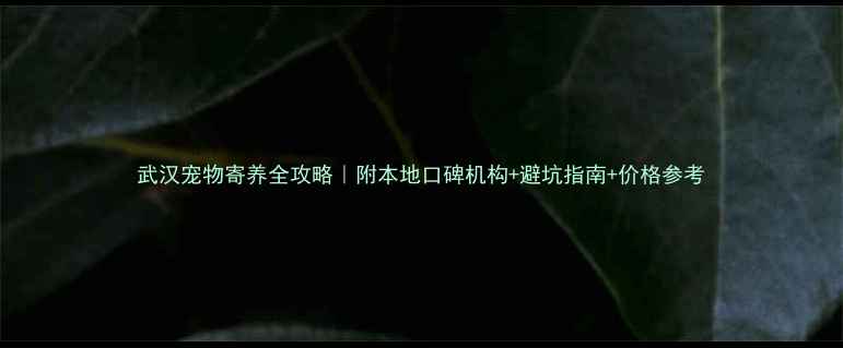 图片 武汉宠物寄养全攻略｜附本地口碑机构+避坑指南+价格参考