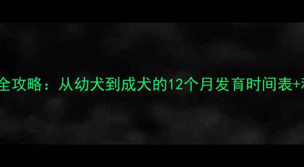 图片 母杜宾犬成长全攻略：从幼犬到成犬的12个月发育时间表+科学养护指南2