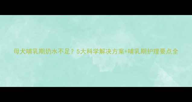 图片 母犬哺乳期奶水不足？5大科学解决方案+哺乳期护理要点全