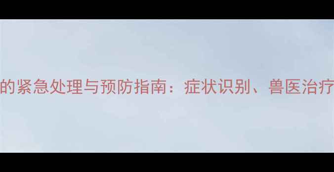 图片 母犬子宫蓄脓的紧急处理与预防指南：症状识别、兽医治疗与家庭护理全