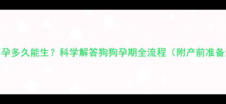 图片 母犬怀孕多久能生？科学解答狗狗孕期全流程（附产前准备清单）