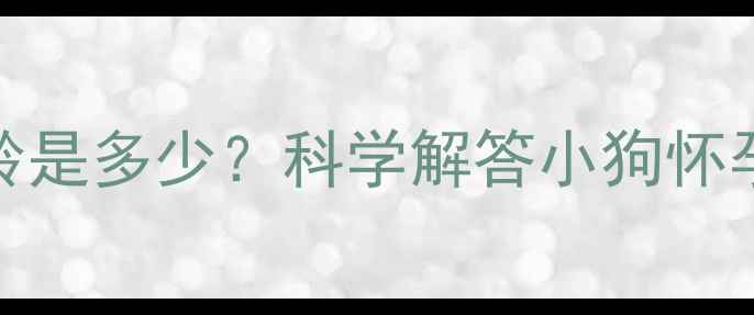 图片 母犬最佳配种年龄是多少？科学解答小狗怀孕条件及注意事项