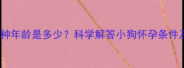 图片 母犬最佳配种年龄是多少？科学解答小狗怀孕条件及注意事项1