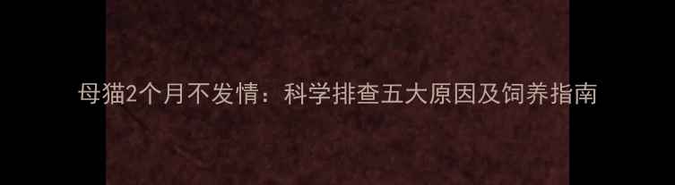 图片 母猫2个月不发情：科学排查五大原因及饲养指南
