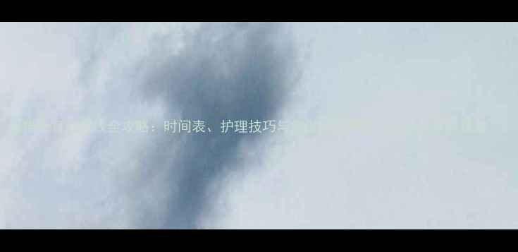 图片 母猫绝育后拆线全攻略：时间表、护理技巧与常见问题解答（附专业兽医建议）2