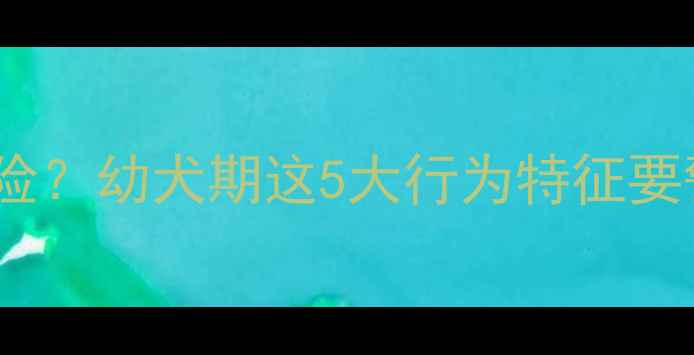 图片 比格犬1个月大咬人风险？幼犬期这5大行为特征要警惕！附科学养护指南
