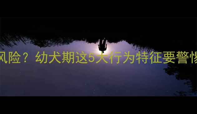 图片 比格犬1个月大咬人风险？幼犬期这5大行为特征要警惕！附科学养护指南2