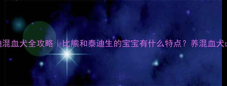 图片 比熊泰迪混血犬全攻略｜比熊和泰迪生的宝宝有什么特点？养混血犬必看指南