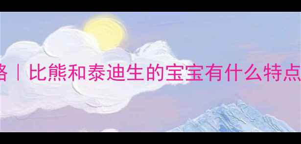 图片 比熊泰迪混血犬全攻略｜比熊和泰迪生的宝宝有什么特点？养混血犬必看指南2