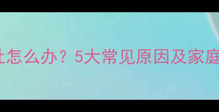 图片 比熊犬呕吐怎么办？5大常见原因及家庭急救指南1