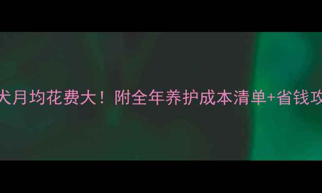 图片 比熊犬月均花费大！附全年养护成本清单+省钱攻略🐾