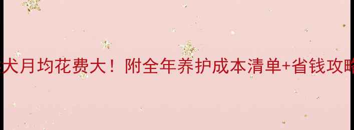 图片 比熊犬月均花费大！附全年养护成本清单+省钱攻略🐾1