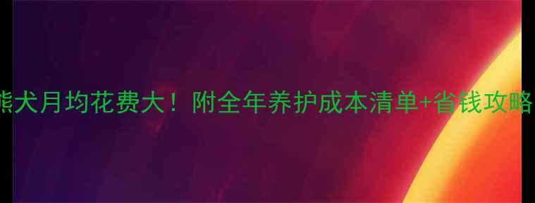 图片 比熊犬月均花费大！附全年养护成本清单+省钱攻略🐾2