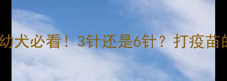 图片 比熊犬疫苗全攻略｜幼犬必看！3针还是6针？打疫苗的黄金时间表来啦✨1