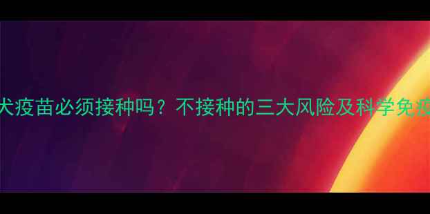 图片 比熊犬疫苗必须接种吗？不接种的三大风险及科学免疫方案