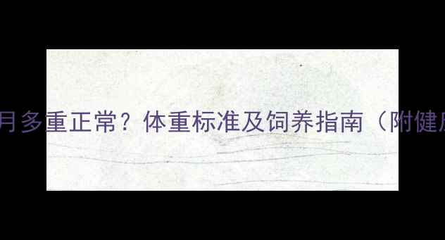 图片 比特犬四个月多重正常？体重标准及饲养指南（附健康监测表）2