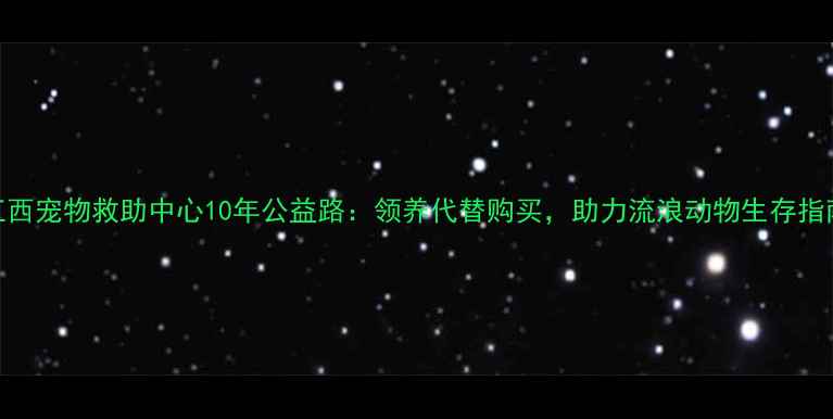 图片 江西宠物救助中心10年公益路：领养代替购买，助力流浪动物生存指南