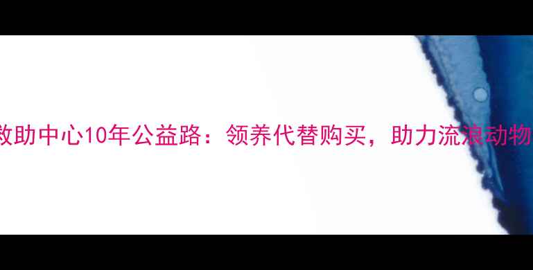 图片 江西宠物救助中心10年公益路：领养代替购买，助力流浪动物生存指南1