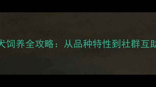 图片 沈阳地区拉布拉多犬饲养全攻略：从品种特性到社群互助的360°养护指南2