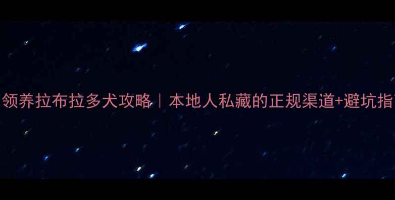 图片 沈阳领养拉布拉多犬攻略｜本地人私藏的正规渠道+避坑指南🐾