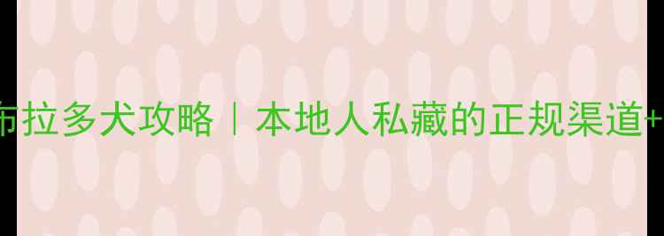 图片 沈阳领养拉布拉多犬攻略｜本地人私藏的正规渠道+避坑指南🐾1