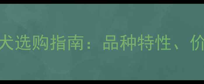 图片 河北CKU认证拉布拉多犬选购指南：品种特性、价格行情与饲养攻略全1