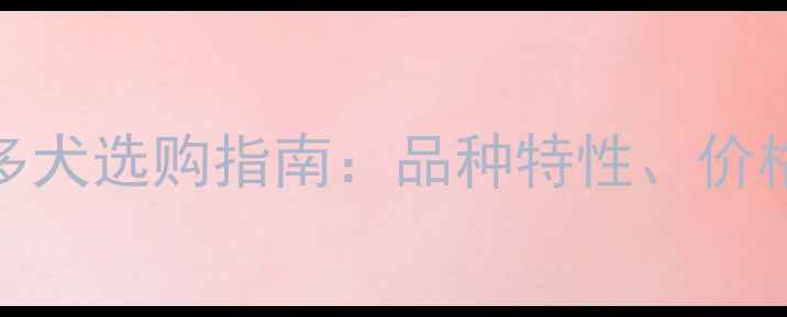 图片 河北CKU认证拉布拉多犬选购指南：品种特性、价格行情与饲养攻略全2