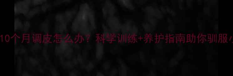 图片 法斗犬10个月调皮怎么办？科学训练+养护指南助你驯服小恶魔1