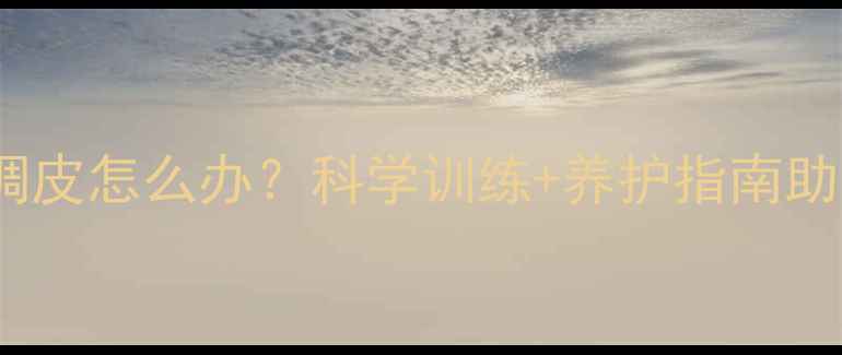 图片 法斗犬10个月调皮怎么办？科学训练+养护指南助你驯服小恶魔2