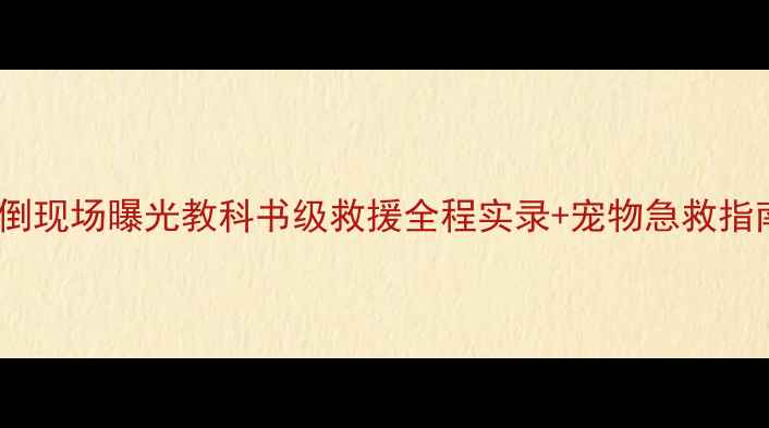 图片 泪目！金毛守护主人晕倒现场曝光教科书级救援全程实录+宠物急救指南（附专业医生解读）2