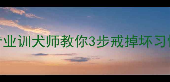 图片 泰迪2月龄啃咬成瘾？🐾专业训犬师教你3步戒掉坏习惯+附赠防咬清单（附图）