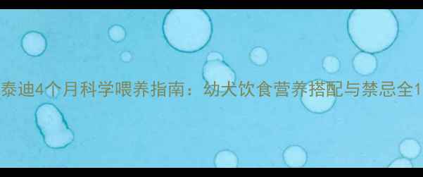 图片 泰迪4个月科学喂养指南：幼犬饮食营养搭配与禁忌全1
