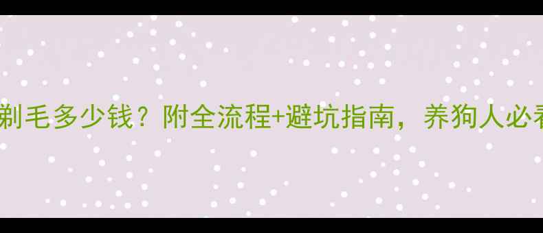 图片 泰迪剃毛多少钱？附全流程+避坑指南，养狗人必看！1