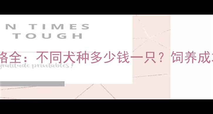 图片 泰迪吉娃娃价格全：不同犬种多少钱一只？饲养成本与避坑指南2