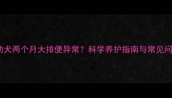 图片 泰迪幼犬两个月大排便异常？科学养护指南与常见问题全1