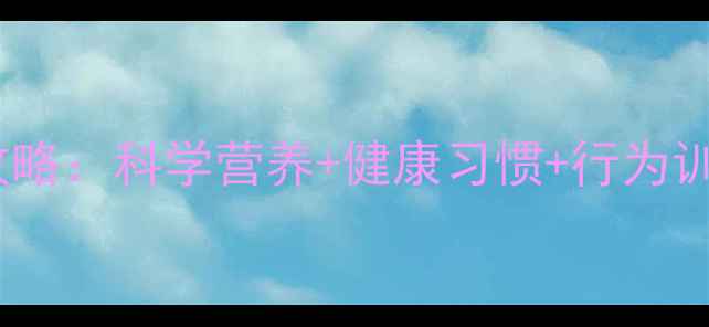 图片 泰迪幼犬喂养全攻略：科学营养+健康习惯+行为训练，新手必看！2