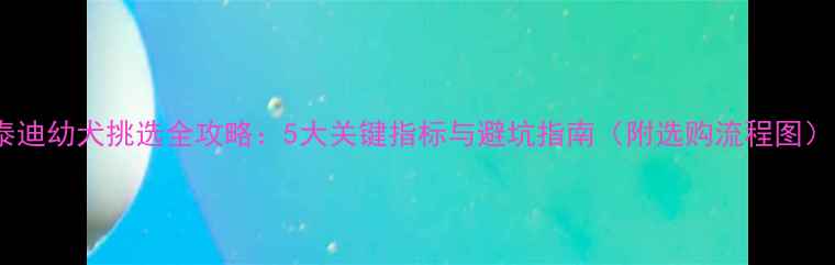 图片 泰迪幼犬挑选全攻略：5大关键指标与避坑指南（附选购流程图）1