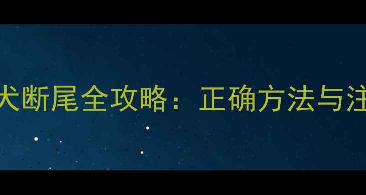 图片 泰迪幼犬断尾全攻略：正确方法与注意事项