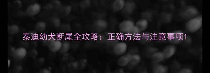 图片 泰迪幼犬断尾全攻略：正确方法与注意事项1