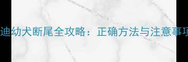 图片 泰迪幼犬断尾全攻略：正确方法与注意事项2