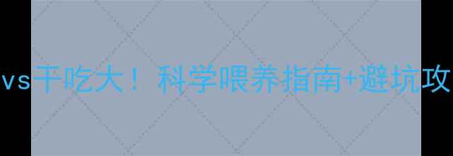 图片 泰迪幼犬狗粮泡水vs干吃大！科学喂养指南+避坑攻略（附泡水教程）