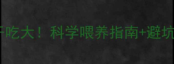 图片 泰迪幼犬狗粮泡水vs干吃大！科学喂养指南+避坑攻略（附泡水教程）2