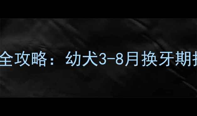 图片 泰迪换牙全攻略：幼犬3-8月换牙期护理要点2